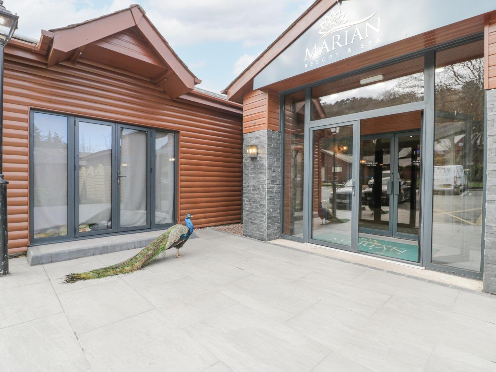 Luxury Lodge 62 Rhyl Buitenkant foto